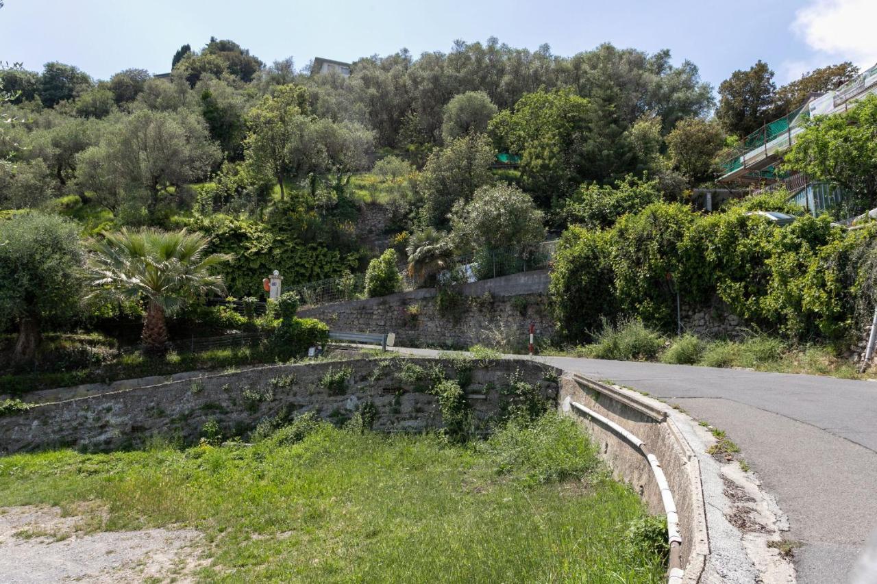 Strada Degli Olandesi - Panoramic Villa By Halldis Camporosso  Eksteriør bilde